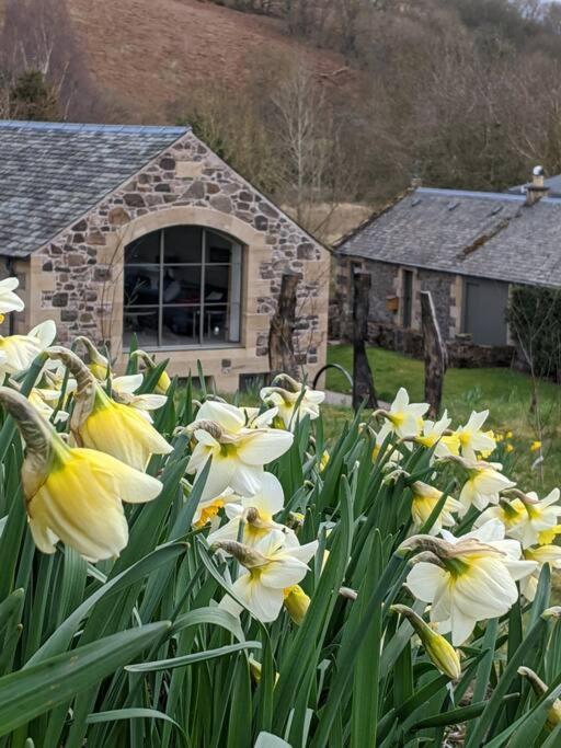 Woodmill Arches - Designer Barn Conversion For Two Apartman Lindores Kültér fotó